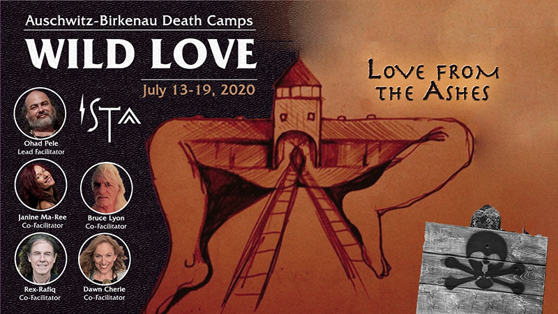 Love From The Ashes article screenshot